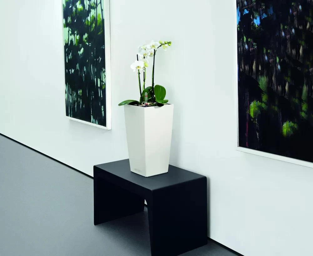 Lechuza® Cubico Color Tall Self-Watering Planters - Image 4