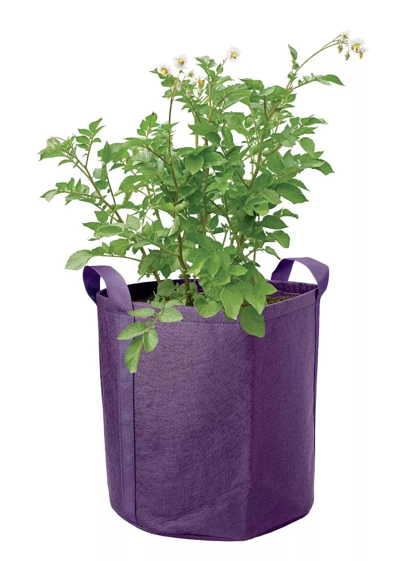 Gardener's Best® Potato Grow Bag - Image 2