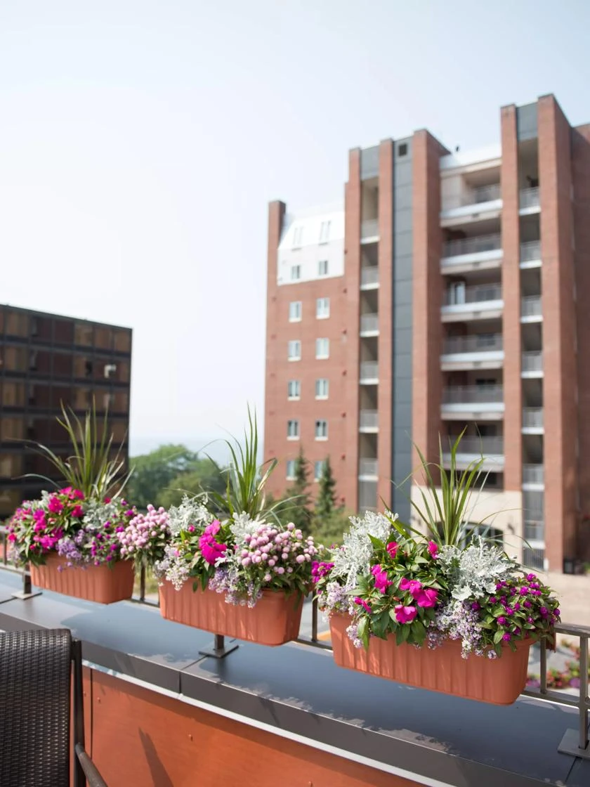 Adjustable Self-Watering Railing Planter, 24" - Image 5