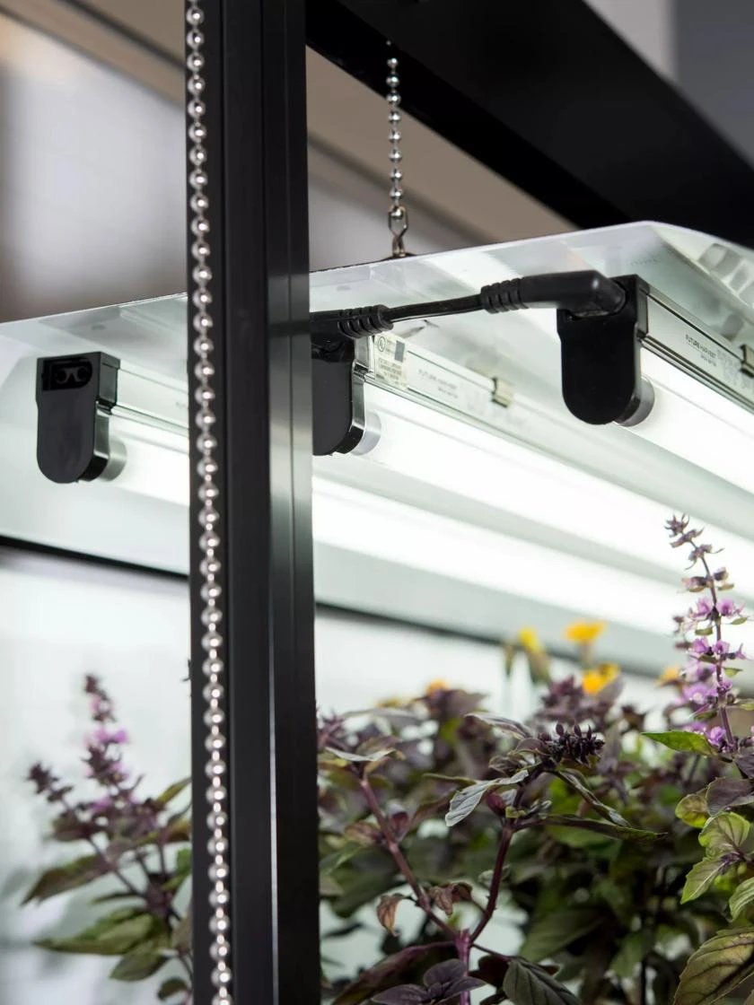 High Intensity 3-Tier SunLiteĀ® Garden - Image 4