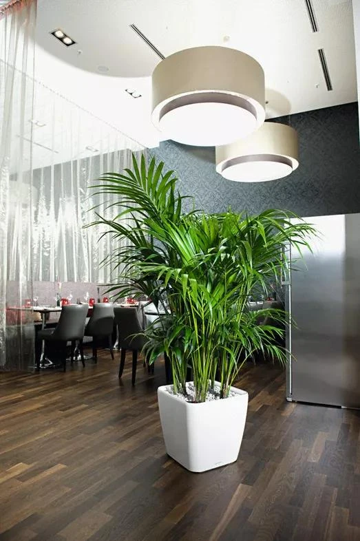 Lechuza® Quadro LS Premium Self-Watering Square Planters - Image 2