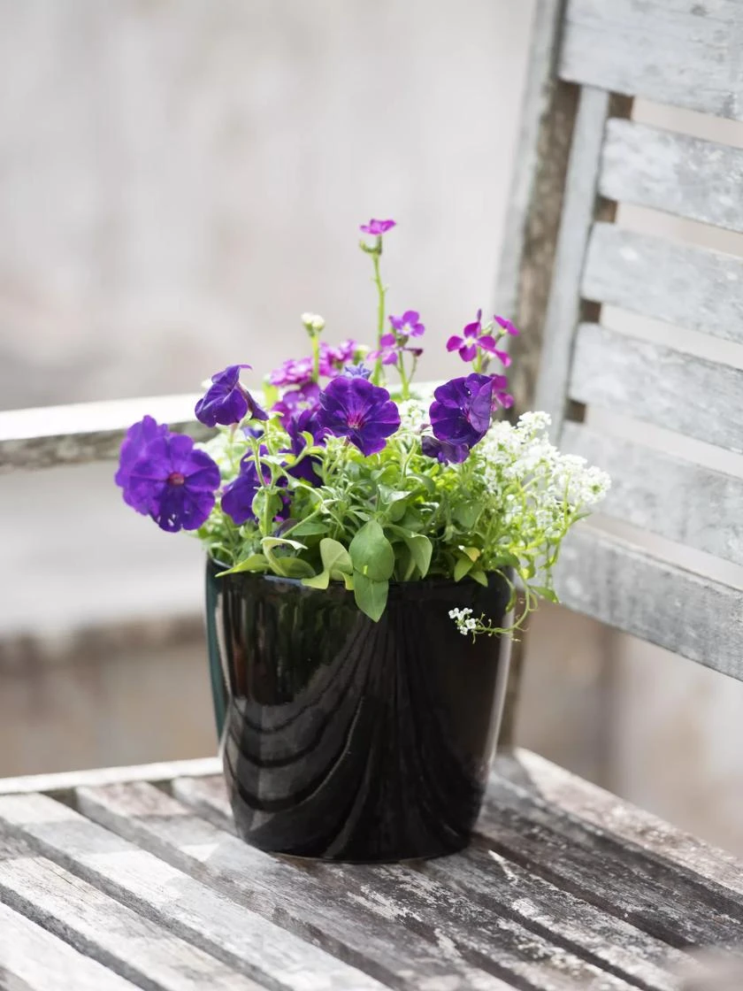 Viva Round Self-Watering Planter, 7" Diameter - Image 5