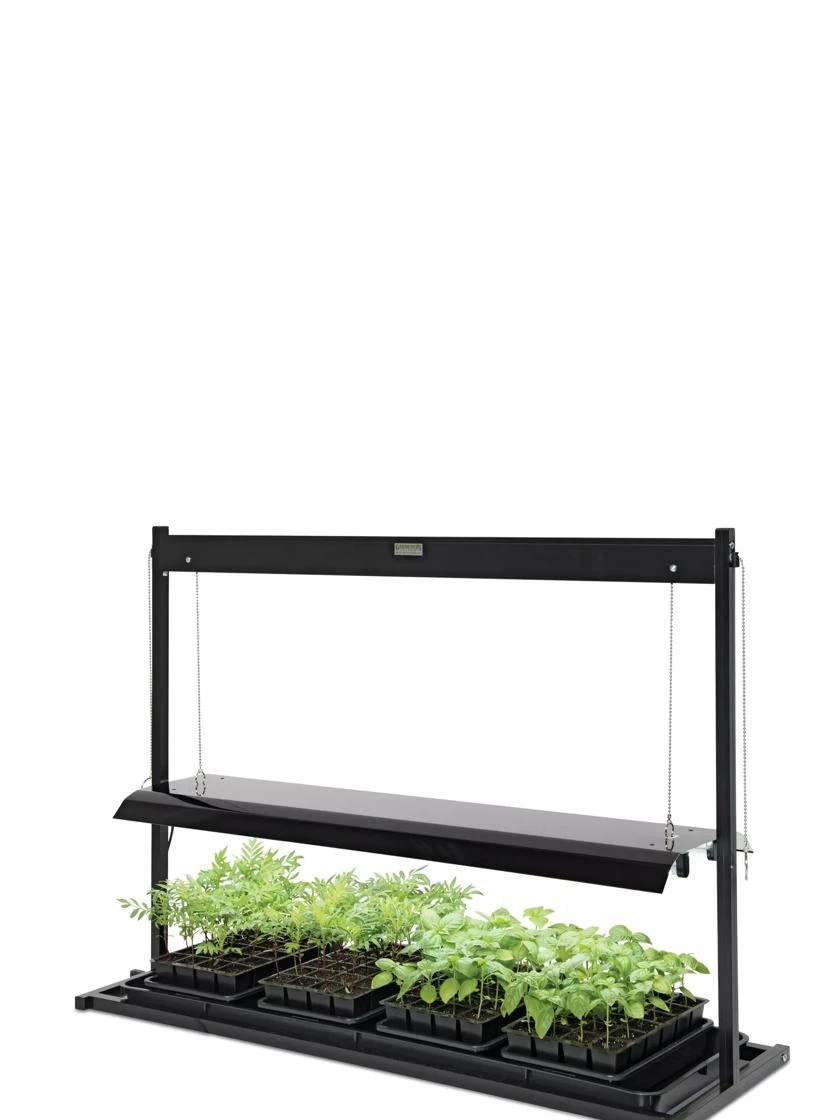 LED SunLite® Tabletop Garden - Image 3