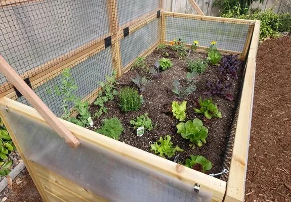 Garden In A Box Cedar Raised Bed With Greenhouse, 3' X 6' - Image 2