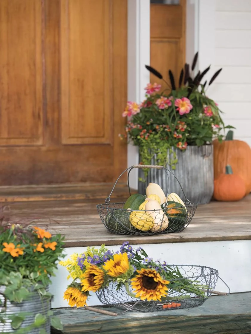 Galvanized Rim Planters - Image 4