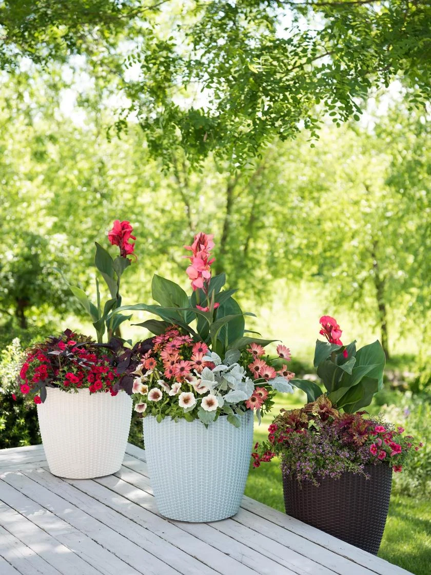 Weave Self-Watering Round Planter, 14" - Image 2