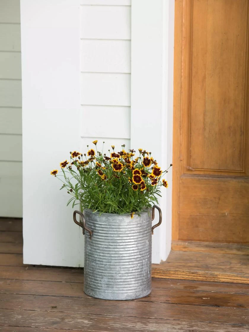 Galvanized Rim Planters - Image 2