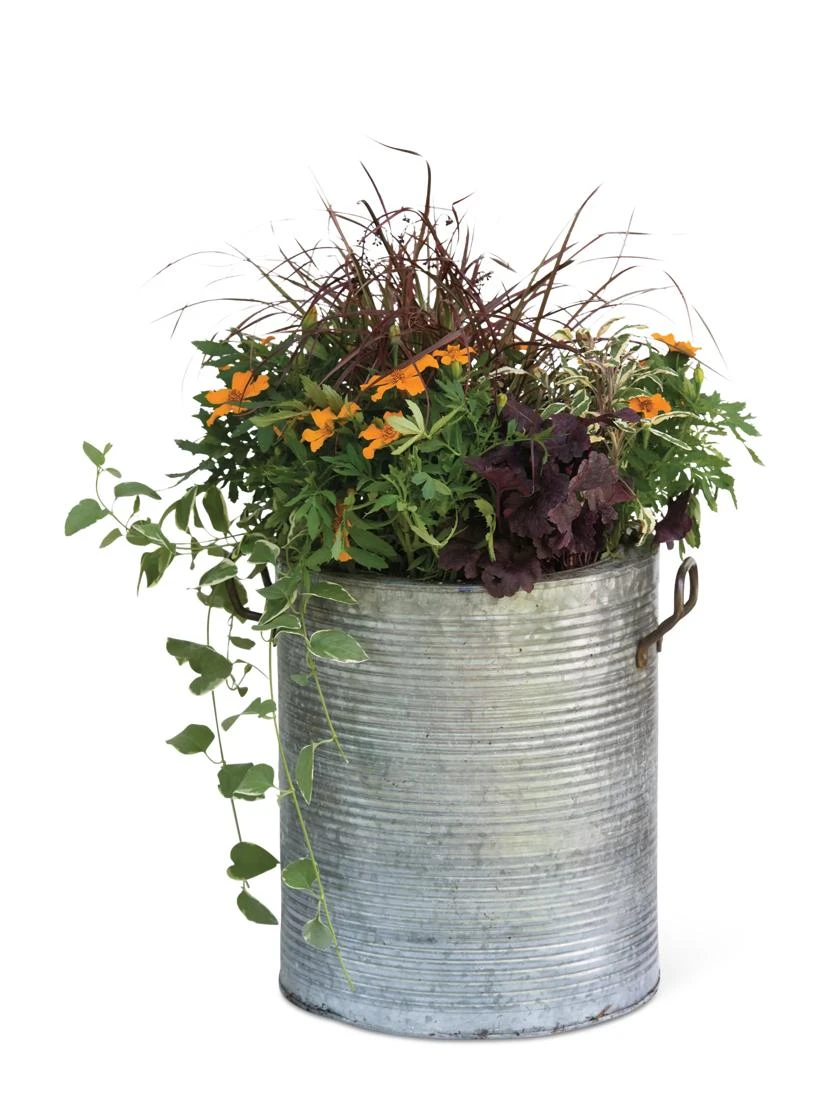 Galvanized Rim Planters - Image 6