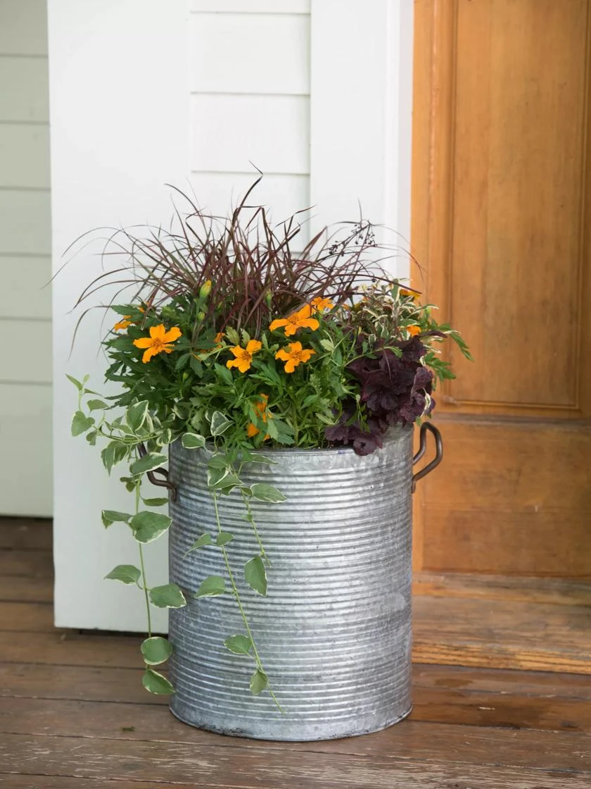 Galvanized Rim Planters - Image 3