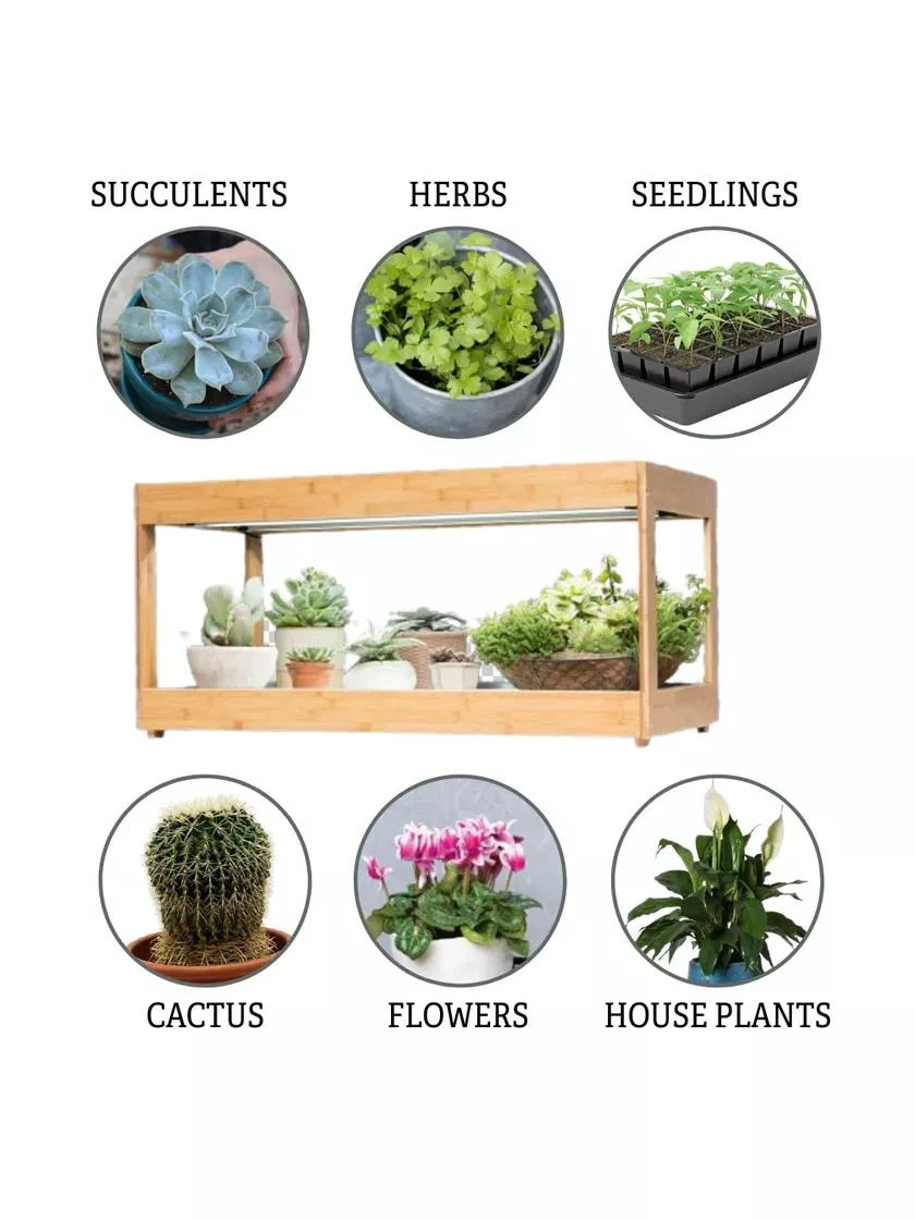 Low Bamboo LED Grow Light Garden - Image 6