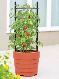 Gardenerās Victory Self-Watering Planter With Support System