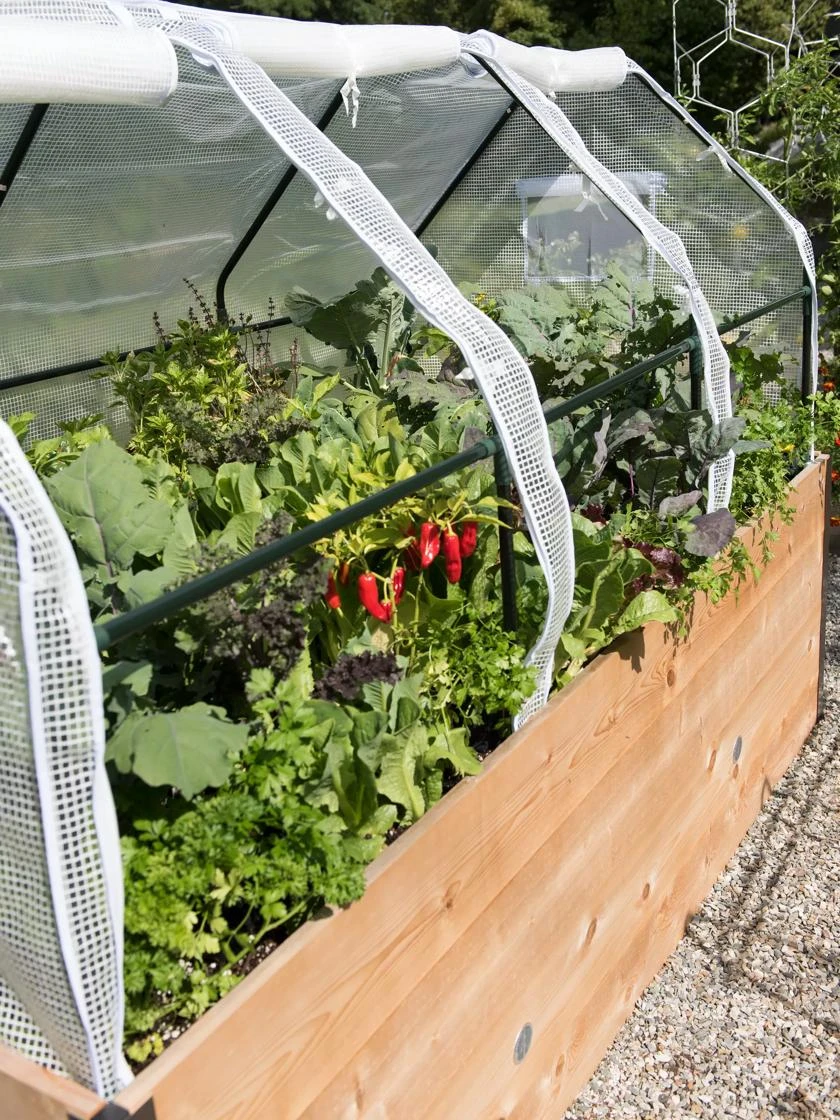 Elevated Raised Bed, 4' X 8' - Image 2