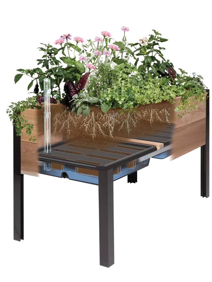 Self-Watering Eco-Stained Elevated Planter Box, 2' X 4' - Image 5