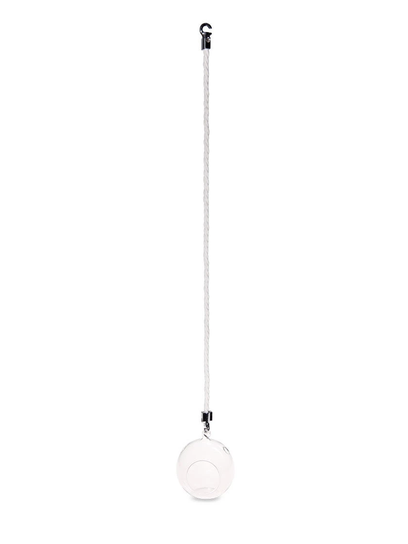 Mini Blown-Glass Hanging Terrarium, Set Of 2 - Image 4