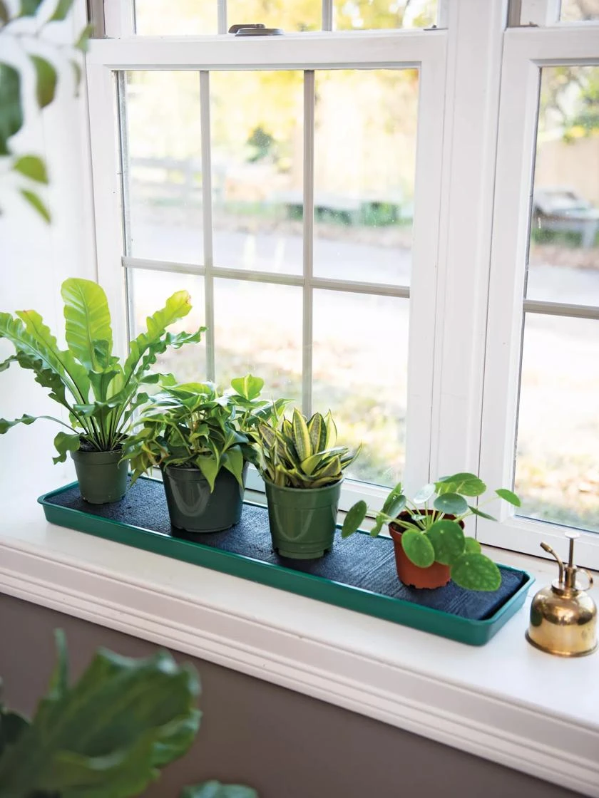 Self-Watering Windowsill Tray - Image 4