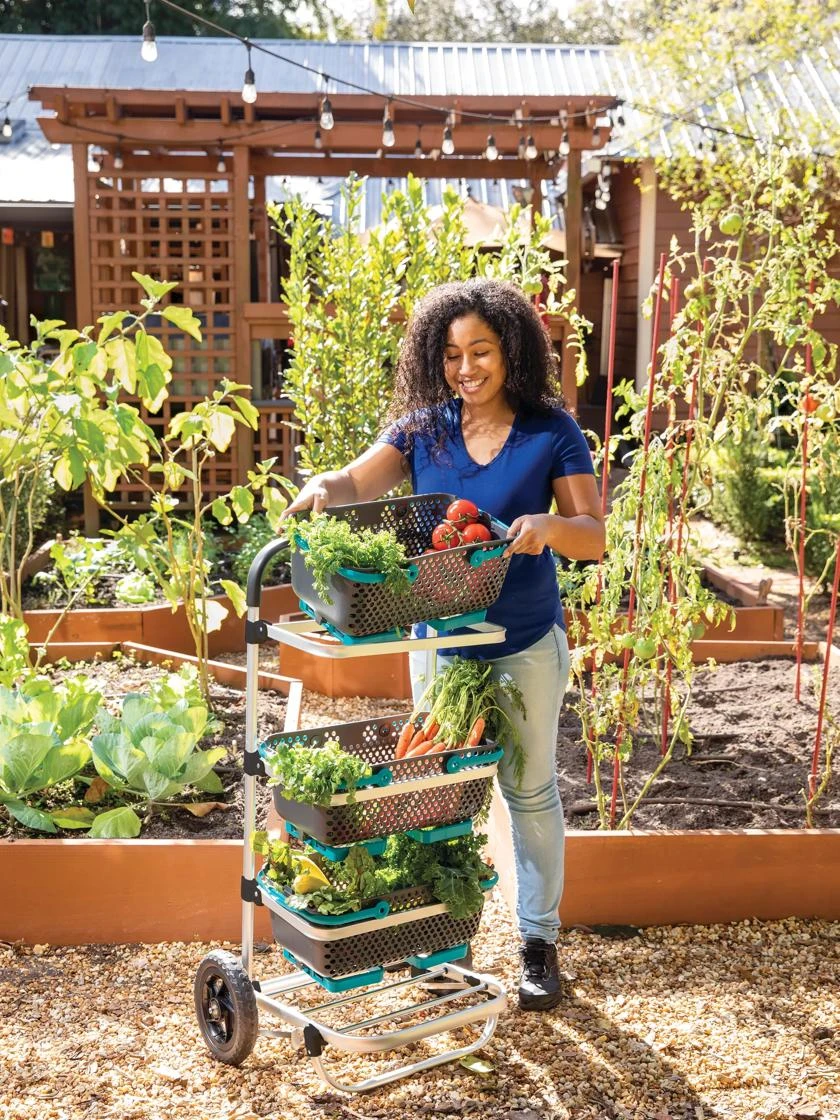 Mod Hod Trolley With Teal Mod Hods