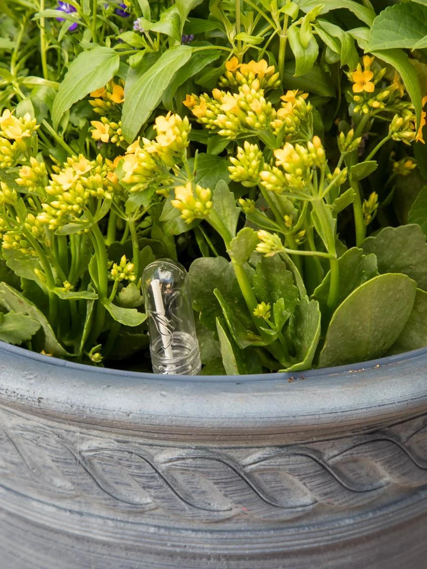 Adjustable Self-Watering Insert For Pots And Planters - Image 7