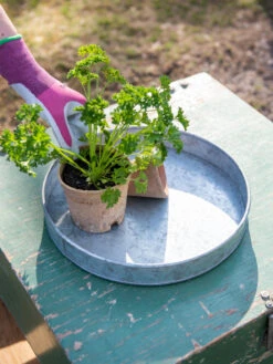 Galvanized Tray Round, 11"