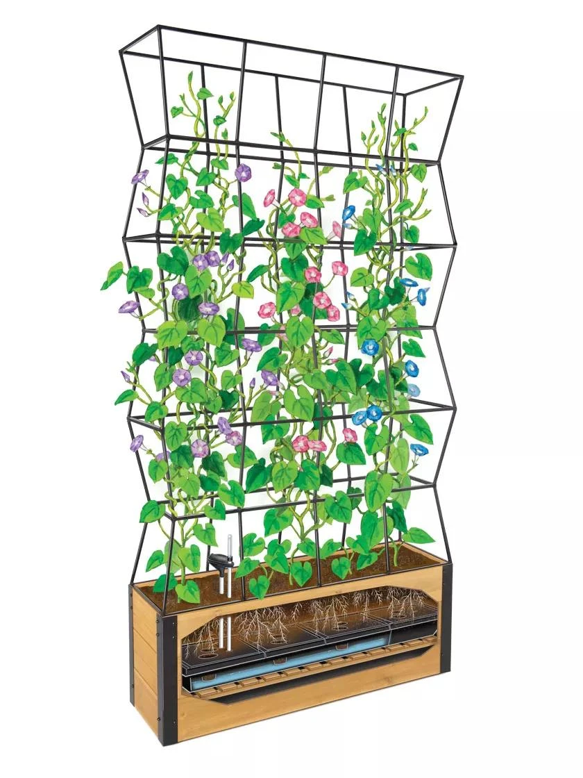Self-Watering Partition Planter - Image 2