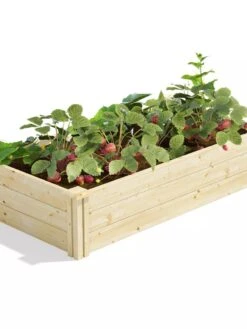 Pine Raised Garden Bed, 2'x4'x10.5" High