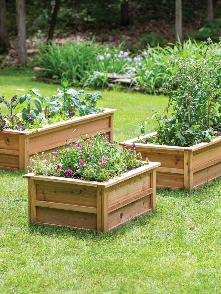 Craftsbury Raised Beds - Image 2