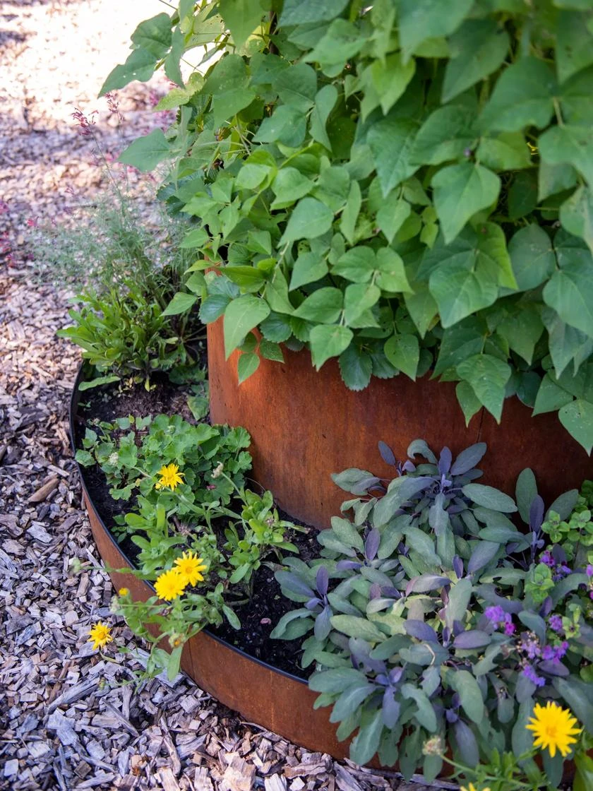 Birdies⢠Corten Steel Tiered Round Raised Bed Kit, Tall - Image 3