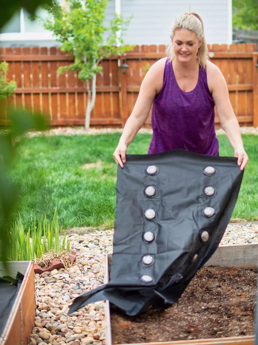 SeedSheets Organic Vegetable Garden, Spicy Sinola Salsa, 4' X 8' - Image 4