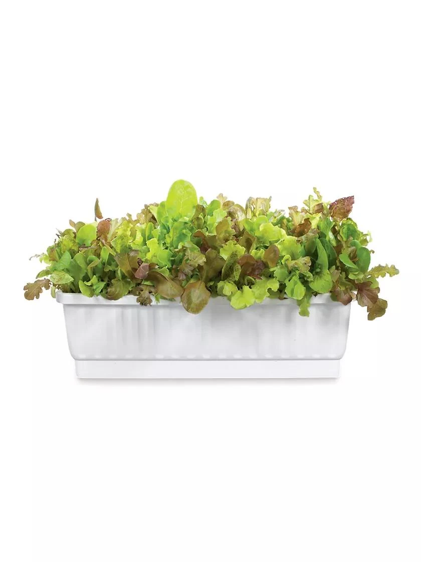 31" Self-Watering Window Box - Image 3