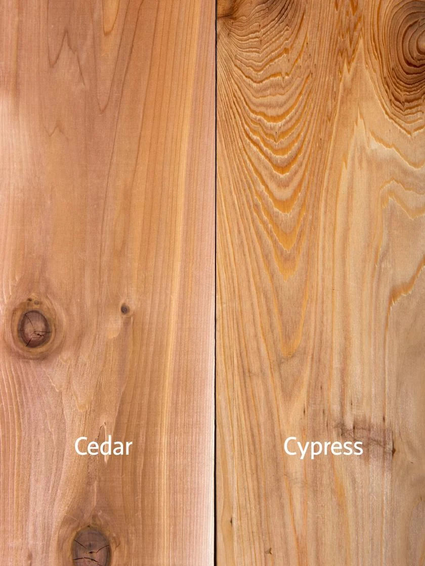 Pest-Free Garden - Image 6